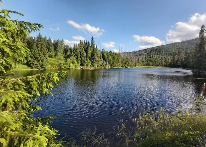 Daire U Ady Železná Ruda